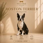 bostonski terijer - sir za pse