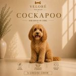cocapoo - sir za pse
