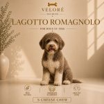 lagoto romanjolo - sir za pse
